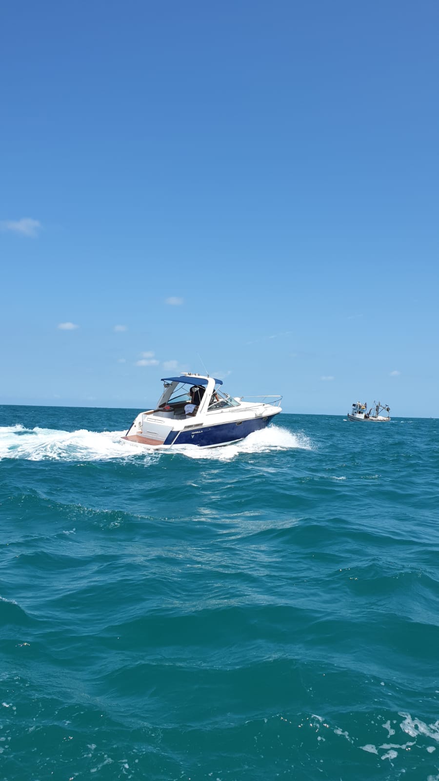 WhatsApp Image 2020-05-28 at 11.05.02 AM (1).jpeg.jpeg